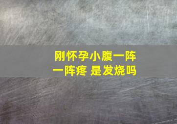 刚怀孕小腹一阵一阵疼 是发烧吗